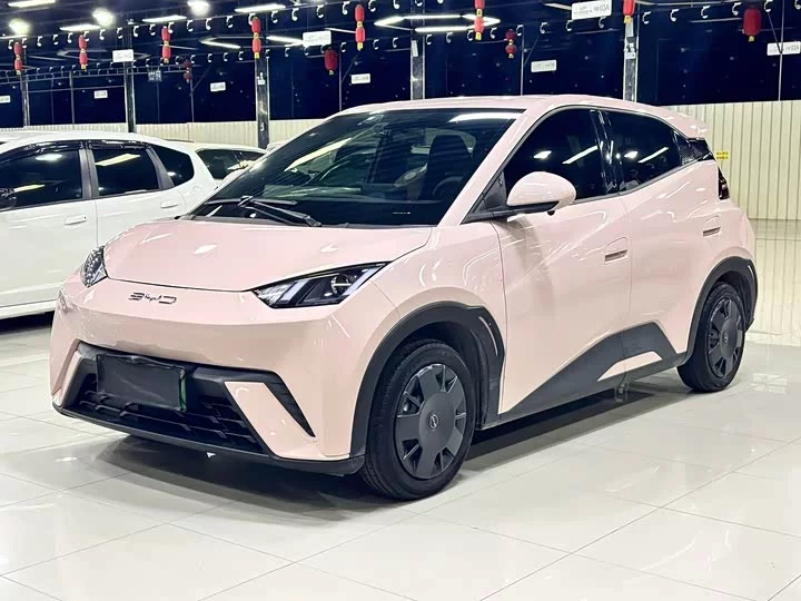 BYD seagull
