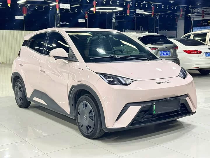 BYD seagull