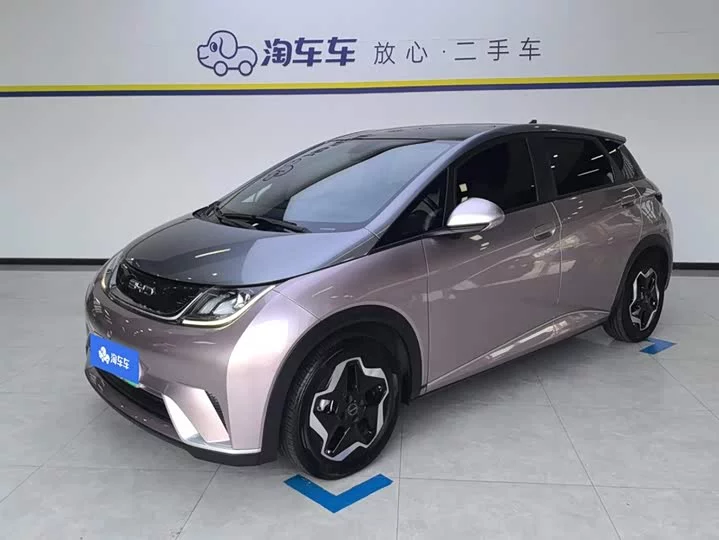 BYD dolphin