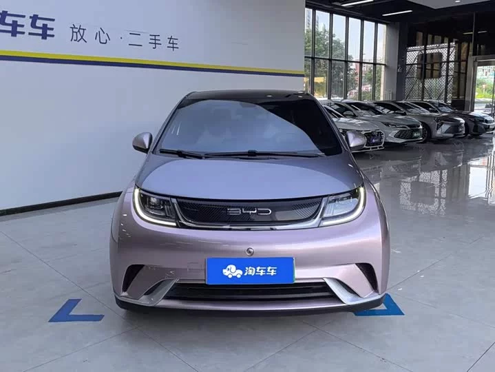 BYD dolphin