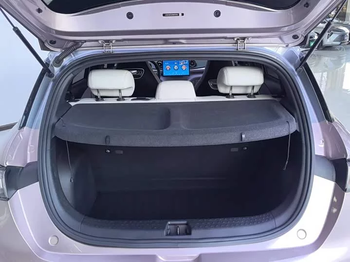 BYD dolphin