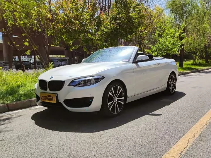 BMW 2 Series