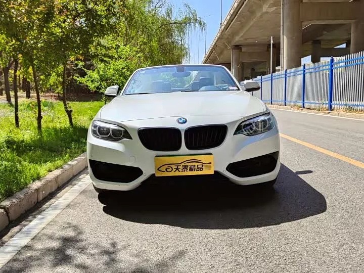 BMW 2 Series