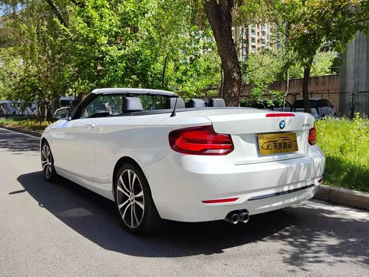 BMW 2 Series