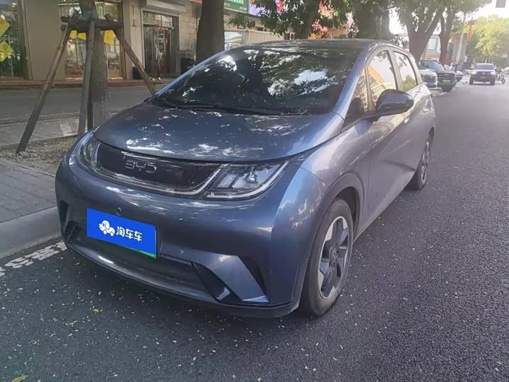 BYD dolphin