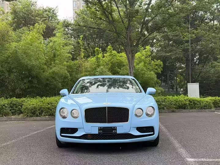 Bentley galloping