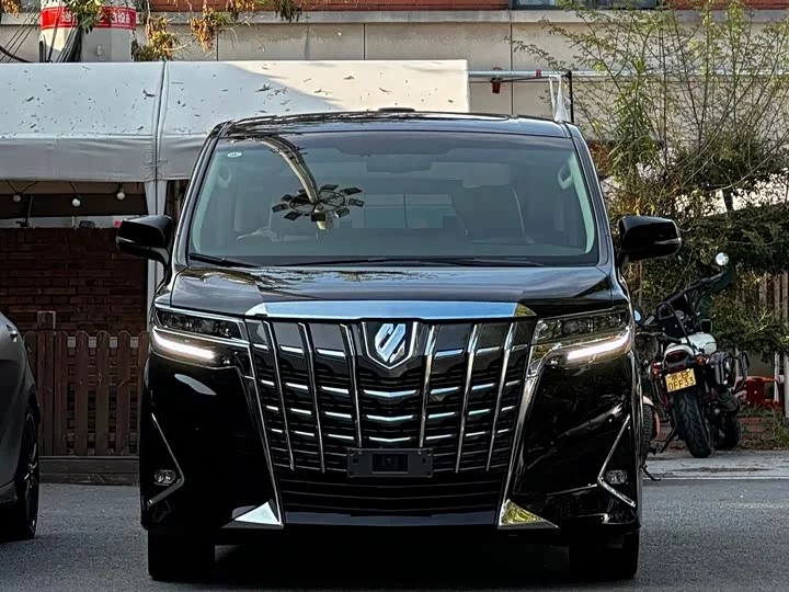 Toyota Elfa