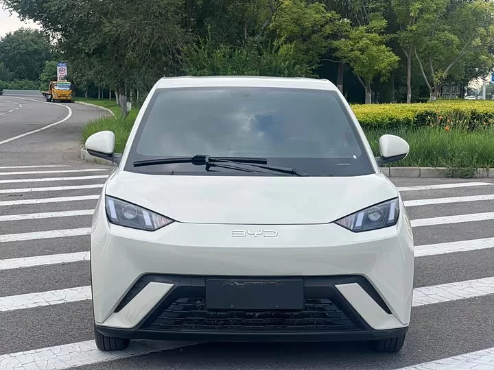 BYD seagull