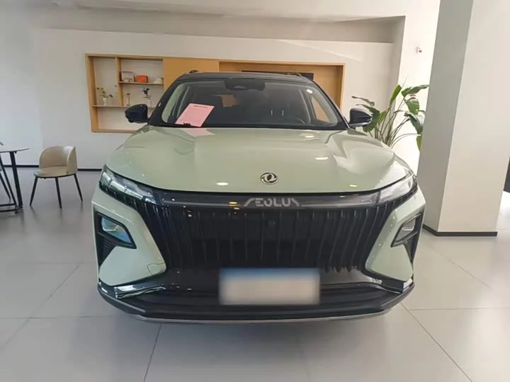 Dongfeng Haoji
