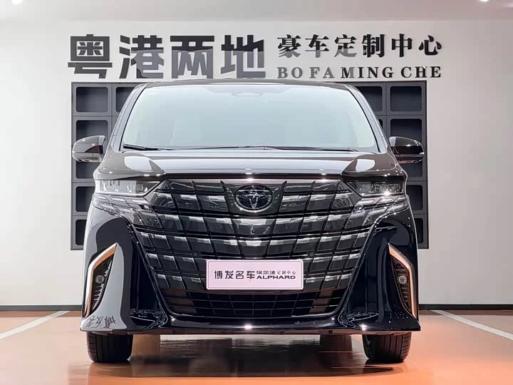 Toyota Elfa