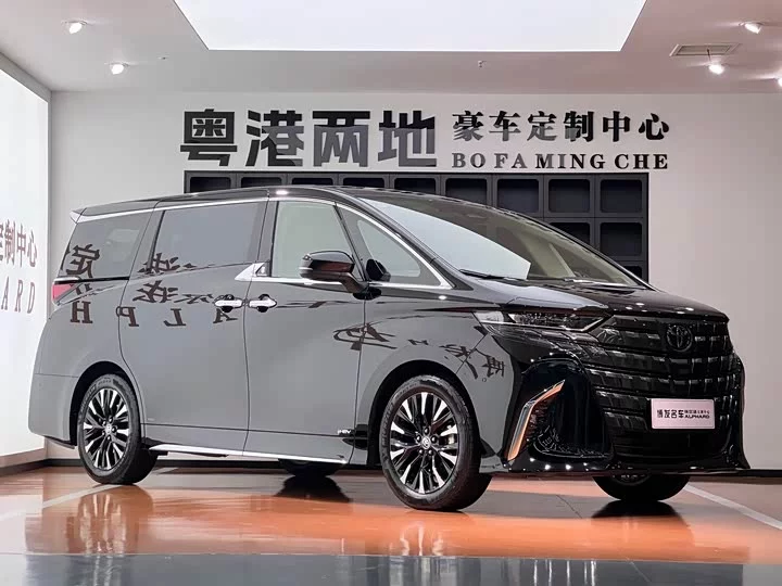 Toyota Elfa