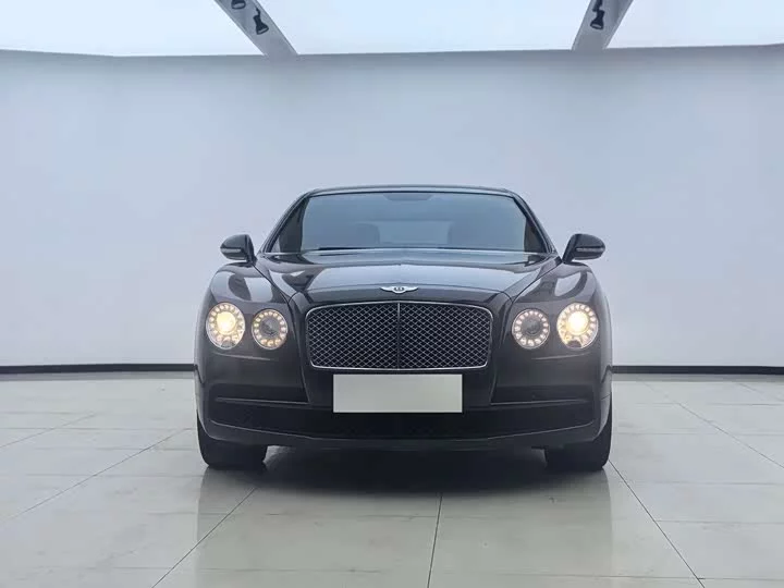 Bentley galloping