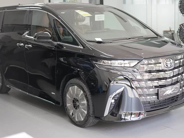 Toyota Elfa