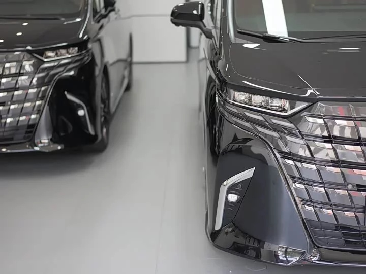 Toyota Elfa