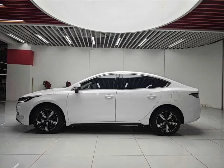 BYD Destroyer 05
