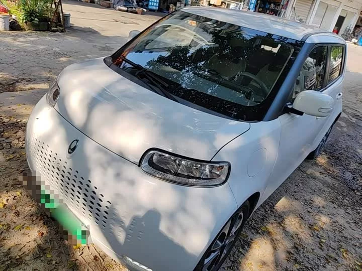 ORA White cat