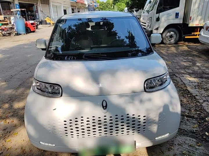 ORA White cat