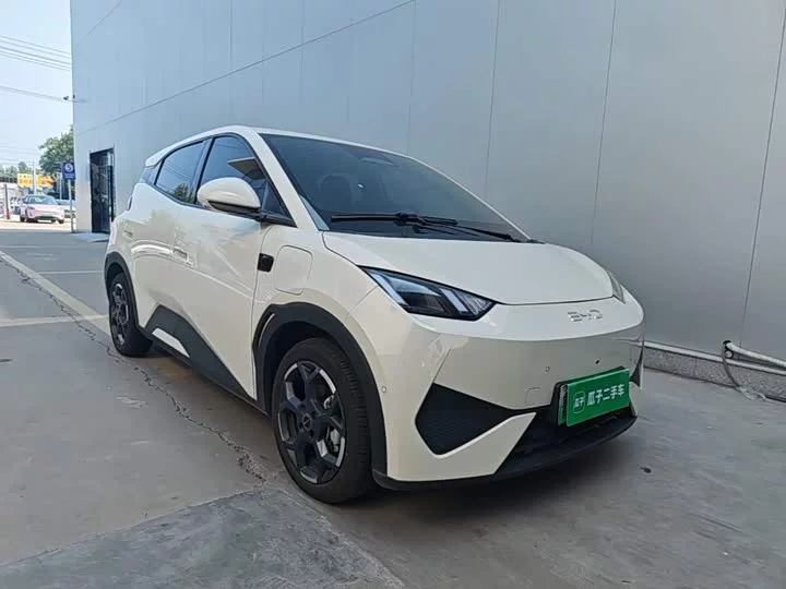 BYD seagull