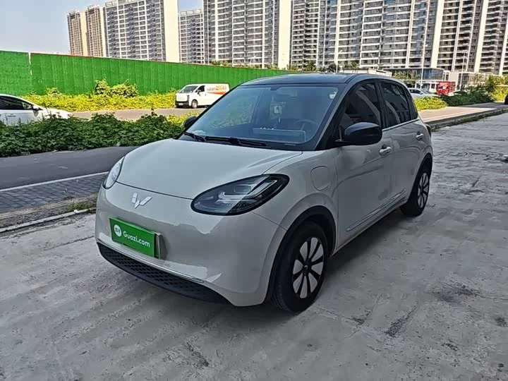 Wuling Bingo