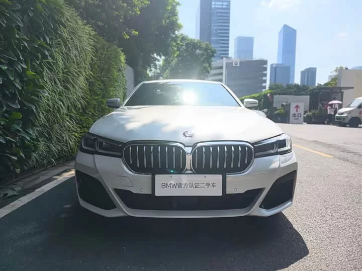 BMW 5 Series New Energy