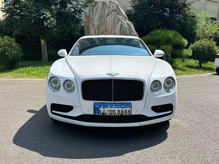 Bentley galloping