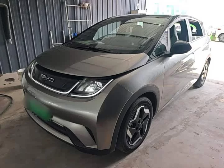 BYD dolphin