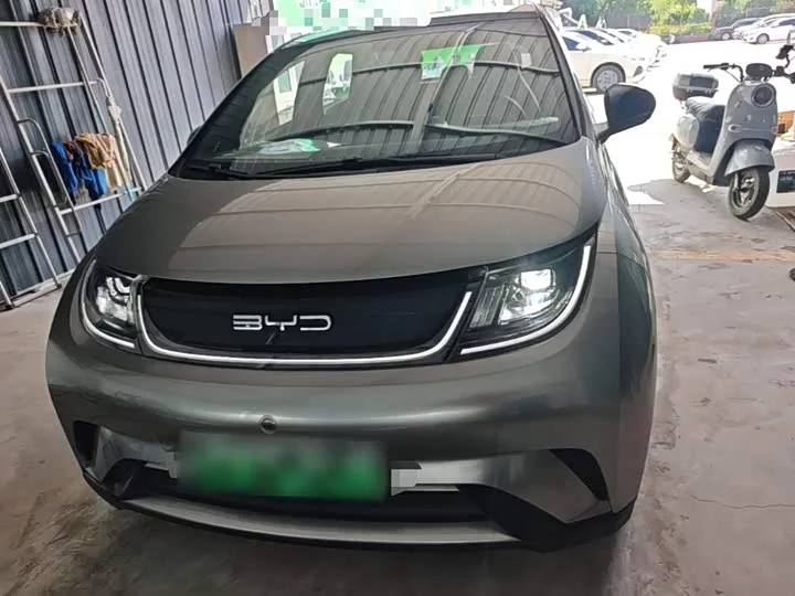 BYD dolphin