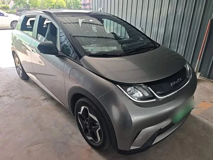BYD dolphin