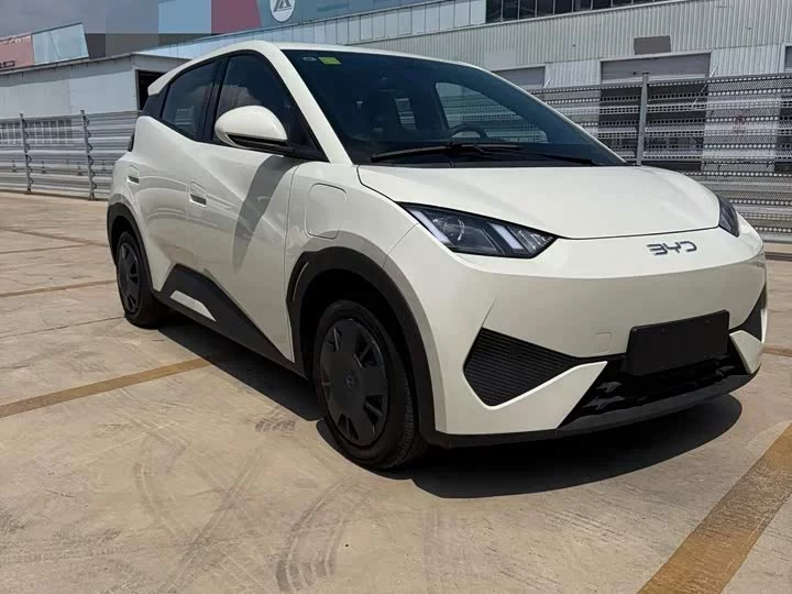 BYD seagull