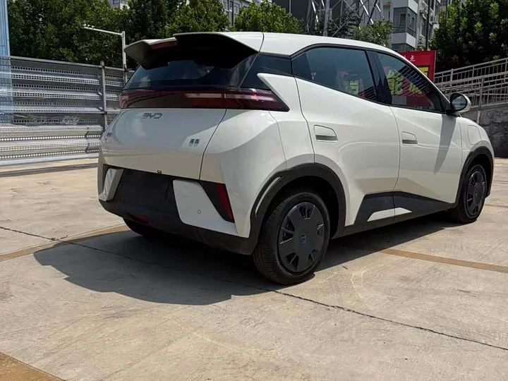 BYD seagull