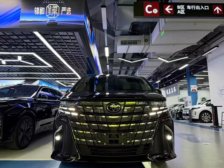 Toyota Elfa