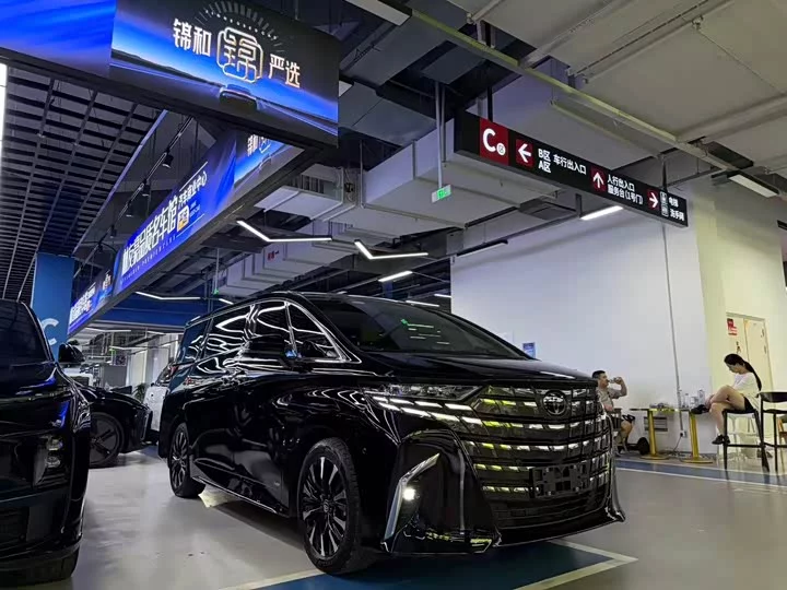 Toyota Elfa
