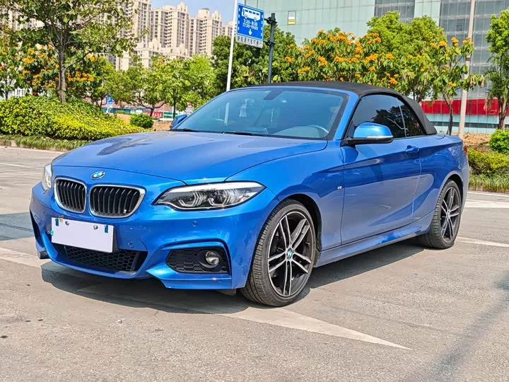 BMW 2 Series