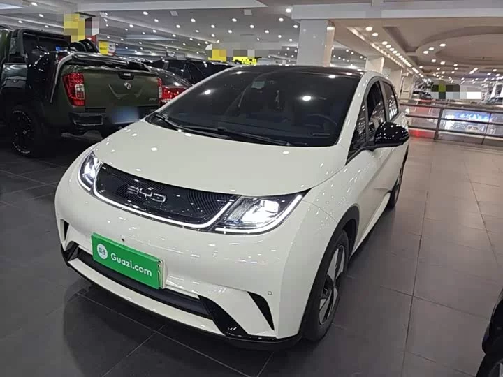 BYD dolphin