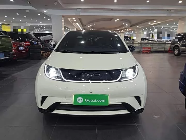 BYD dolphin