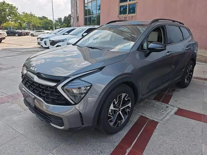 kia Lion Platinum Expands the Boundary