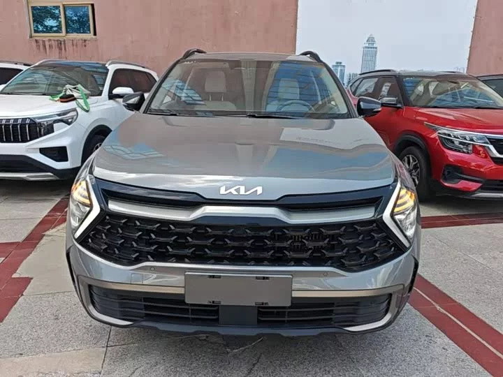 kia Lion Platinum Expands the Boundary