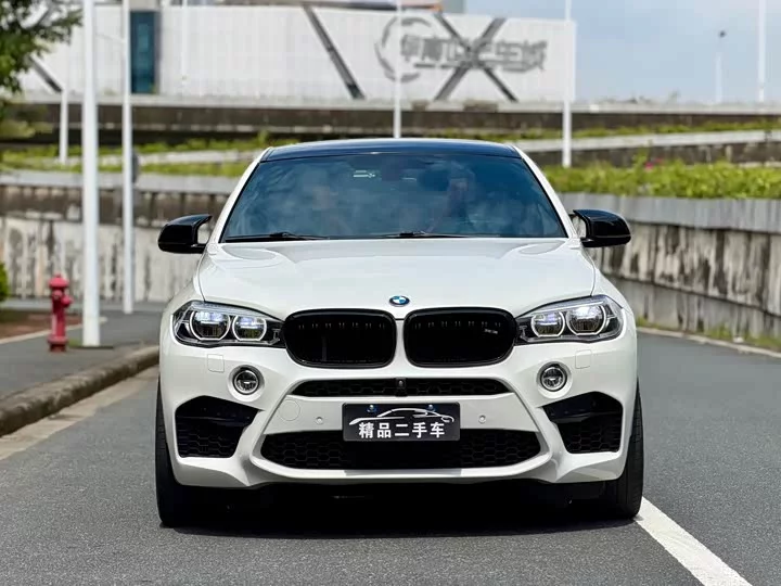 BMW X6 M
