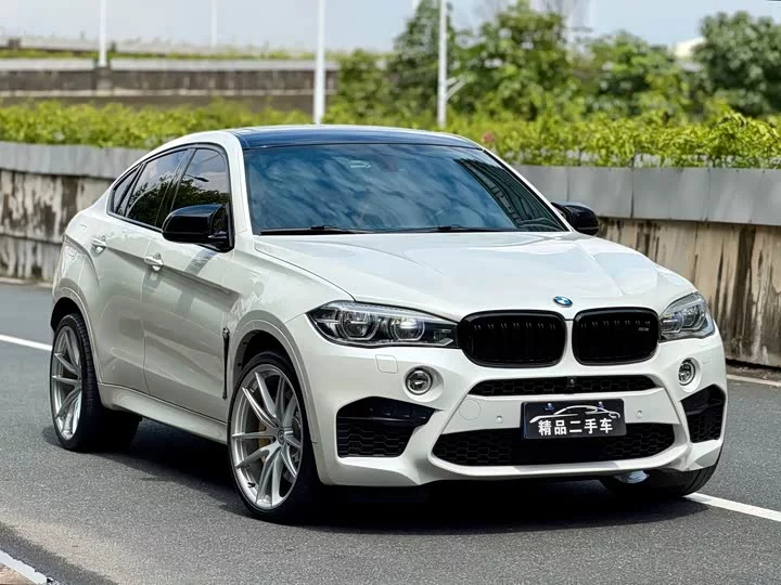 BMW X6 M