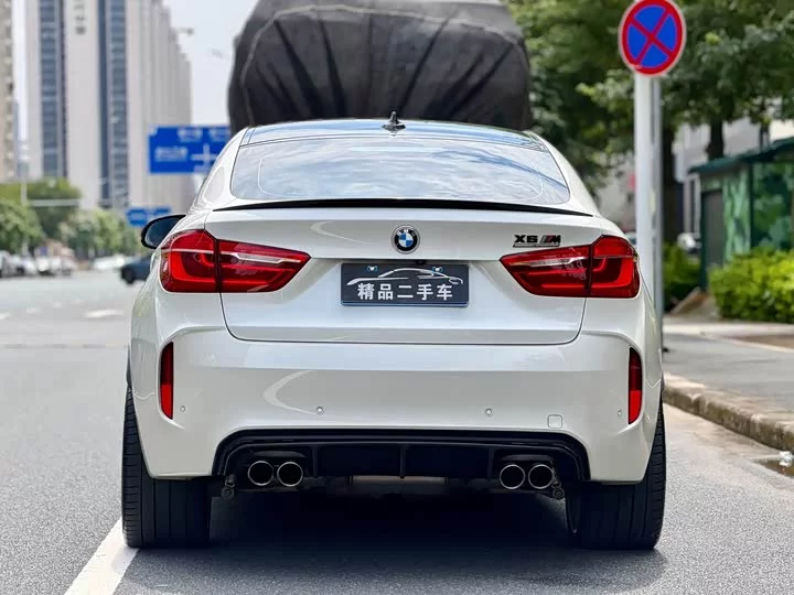 BMW X6 M