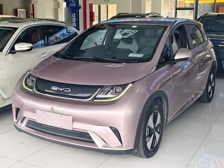 BYD dolphin