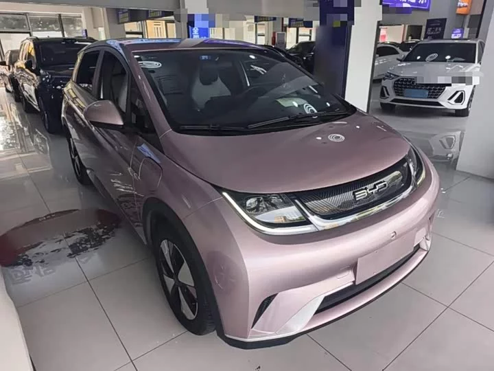 BYD dolphin