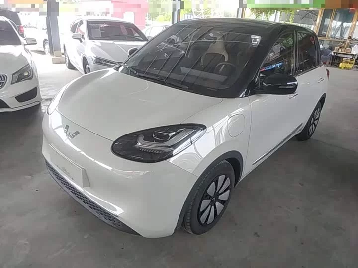 Wuling Bingo