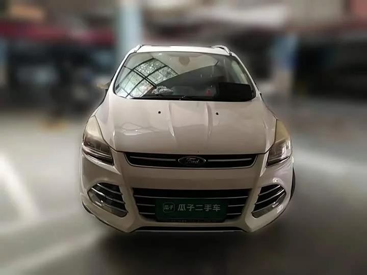 Ford wing tiger