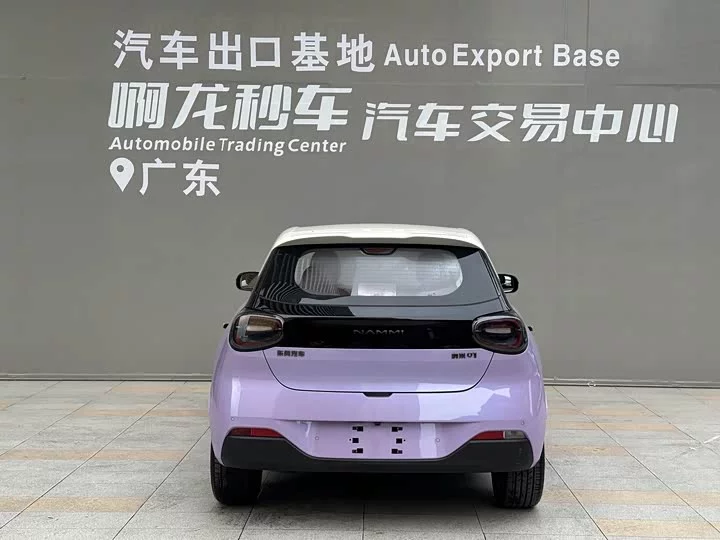 Dongfeng Nano 01