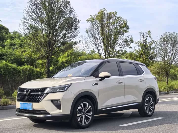 Wuling Star