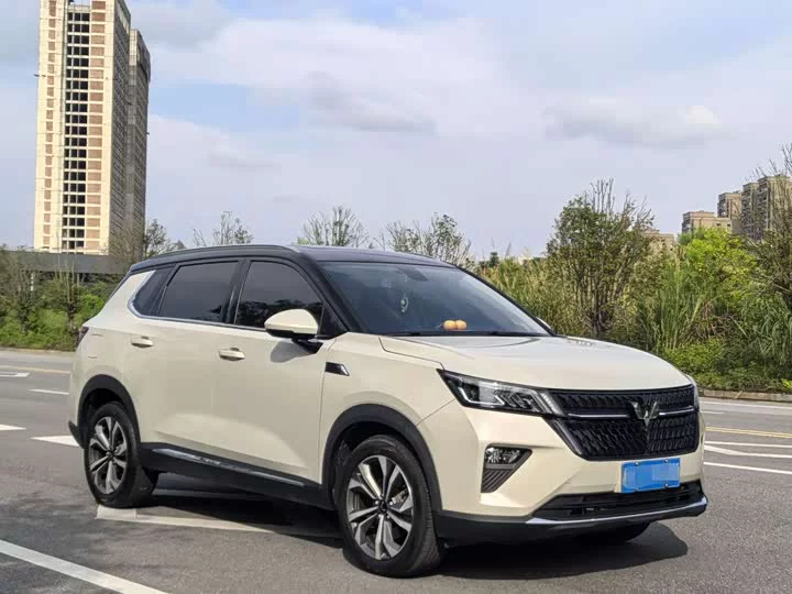 Wuling Star