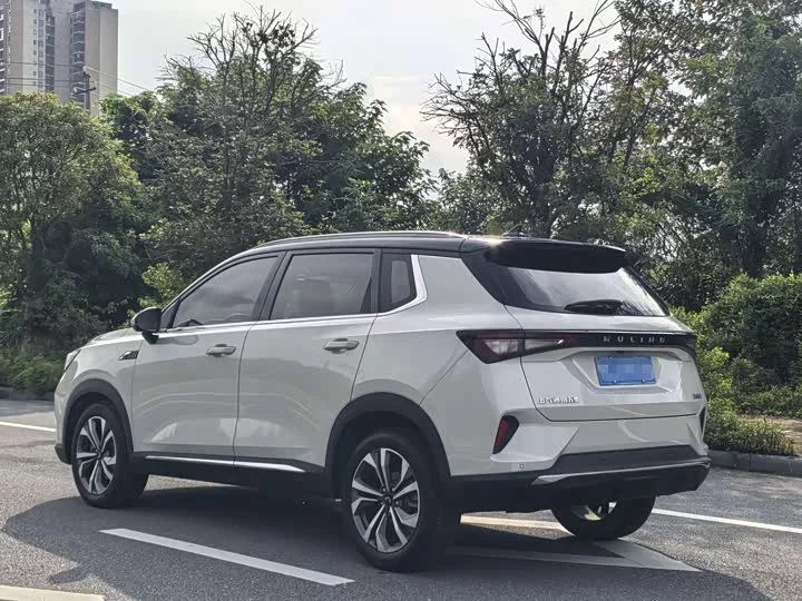 Wuling Star