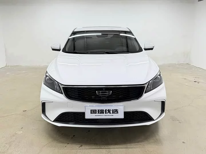 Geely Binrui