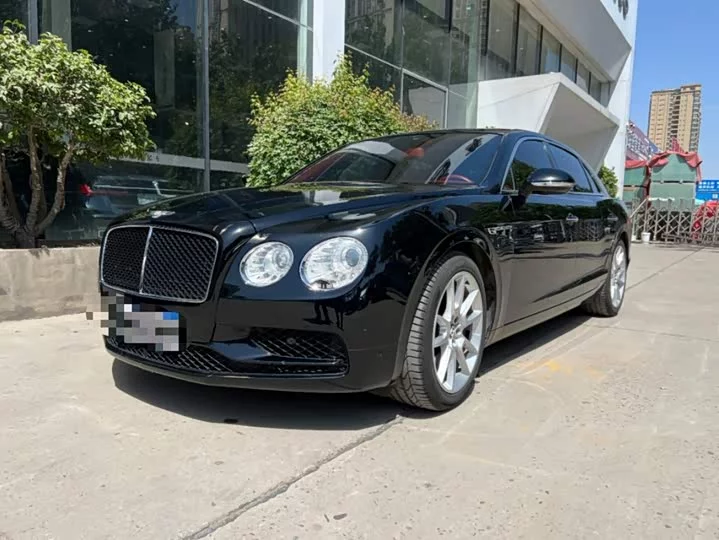 Bentley galloping